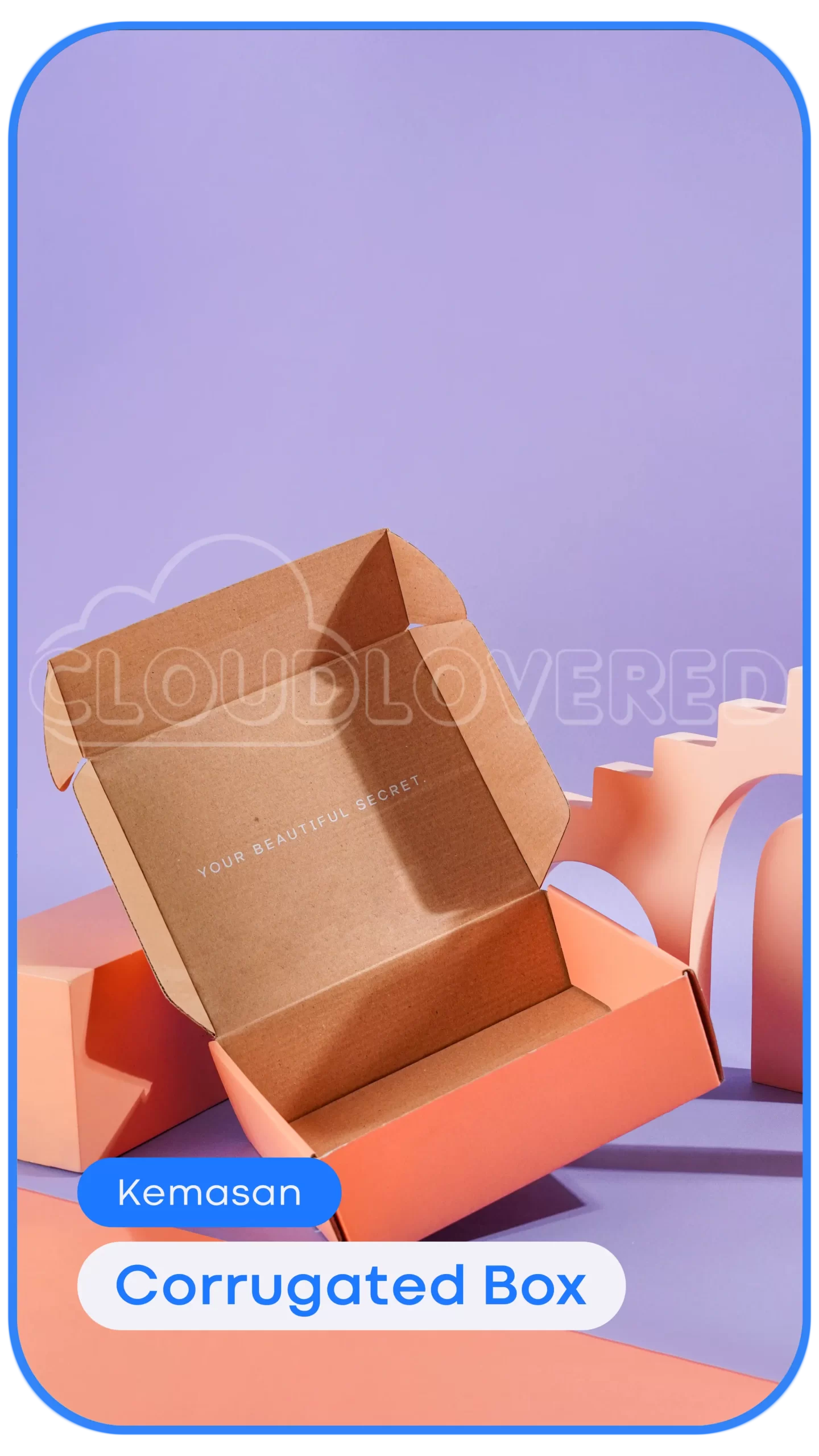 Corrugated Box (2)